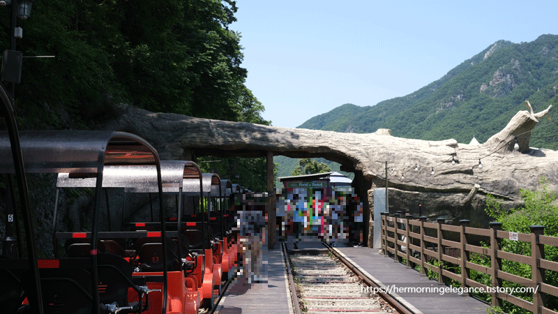 김유정 레일바이크