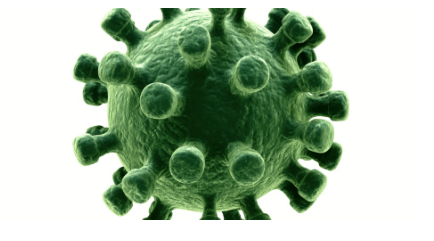 식중독 원인과 증상