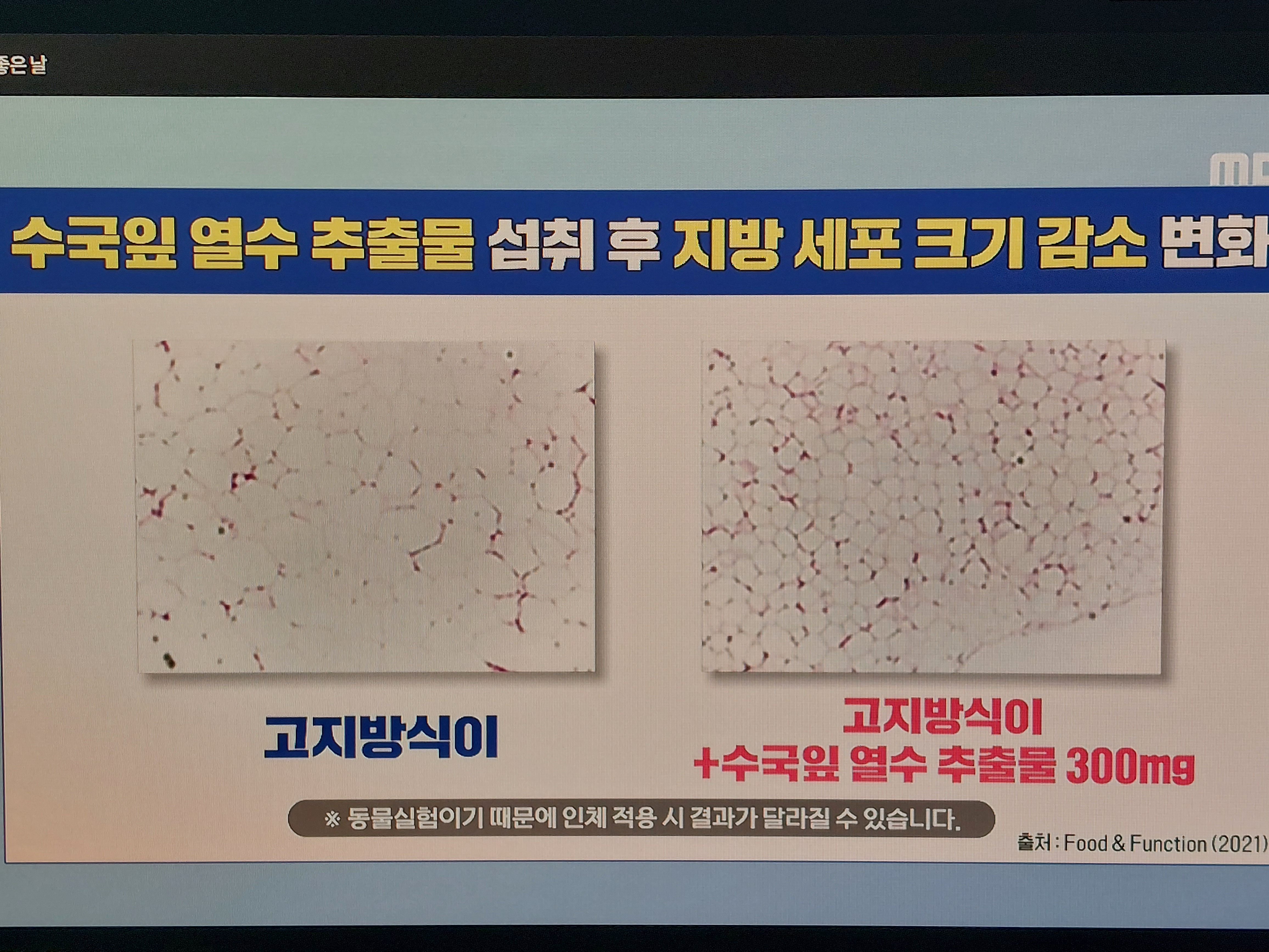 수국잎열수추출물 분말 효능
