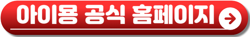아이묭 내한