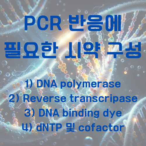 PCR 시약 구성