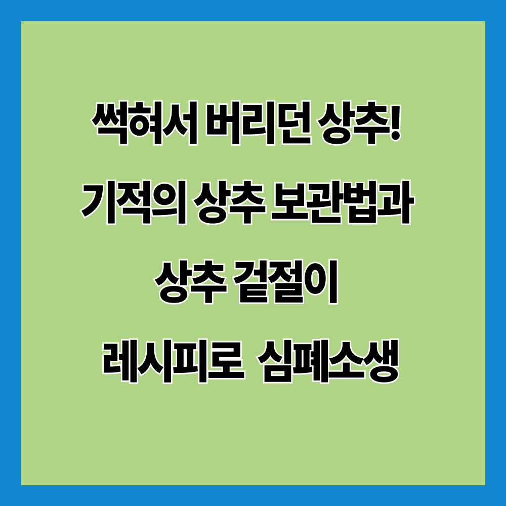 썩혀서 버리던 상추! 기적의 상추 보관법과 상추 겉절이 레시피로 심폐소생