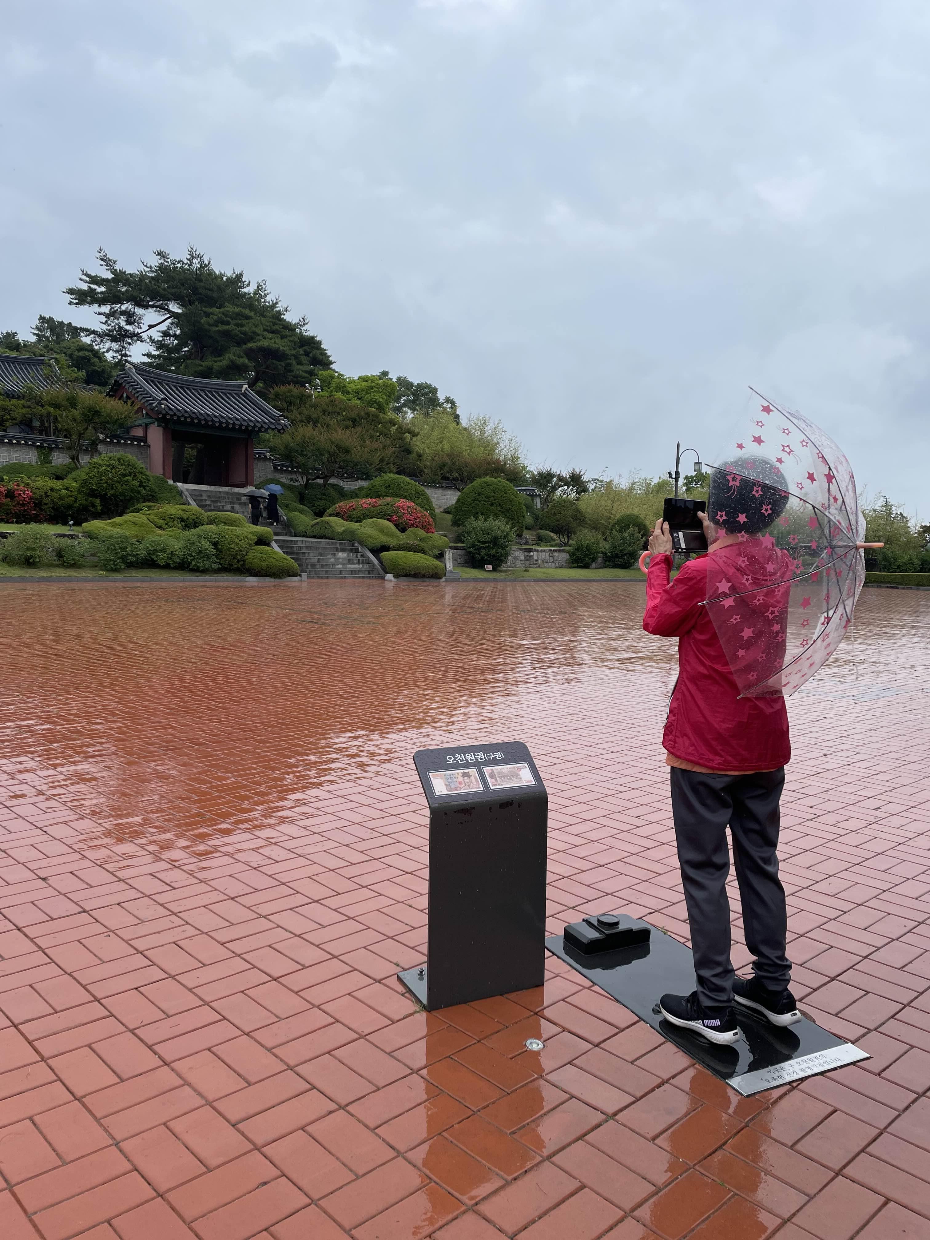 5천원 화폐의 뒷배경을 같은 위치에서 찍고있느 모습