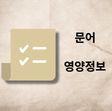 문어 영양 정보