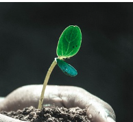 겨울철 난방 적정온도