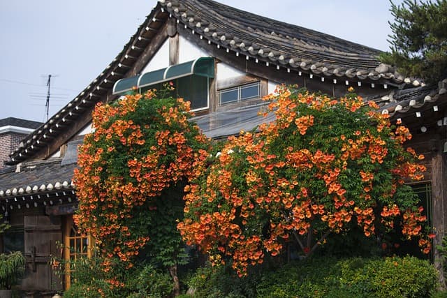 한옥의 단열 문제 해결: 친환경 단열재와 기술 적용