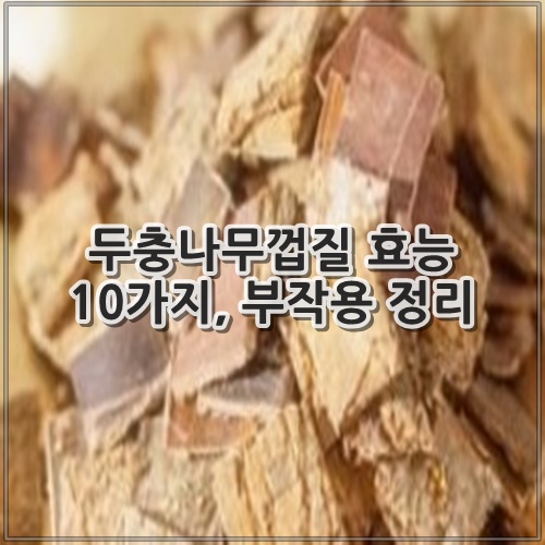 두충나무껍질 효능 10가지, 부작용 정리