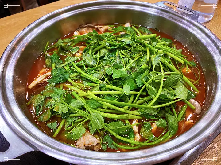 생방송오늘저녁 경기 광주 오포 얼큰 샤브 손칼국수 수제비 만두 바지락칼국수 맛집 추천