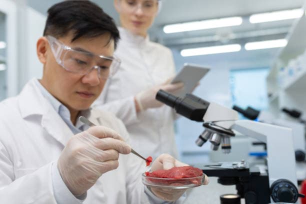 전통 육류와 배양육의 비교: 영양, 맛, 그리고 비용