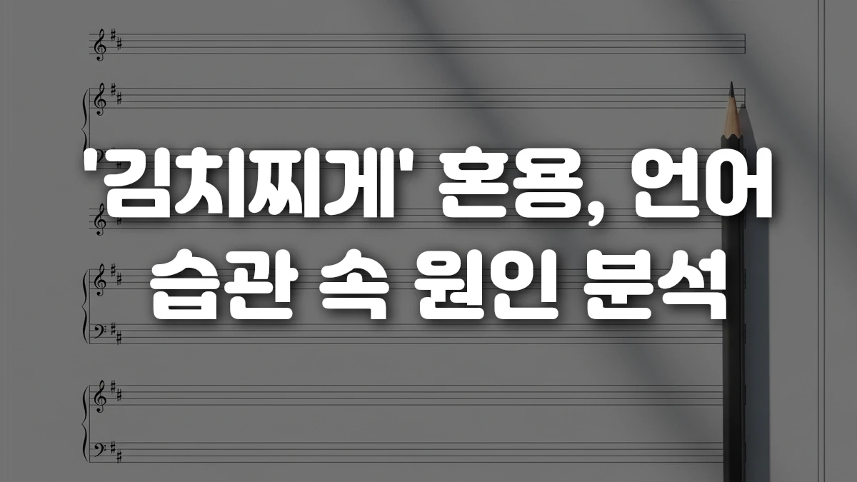 김치찌게 혼용 언어 습관 속 원인 분석