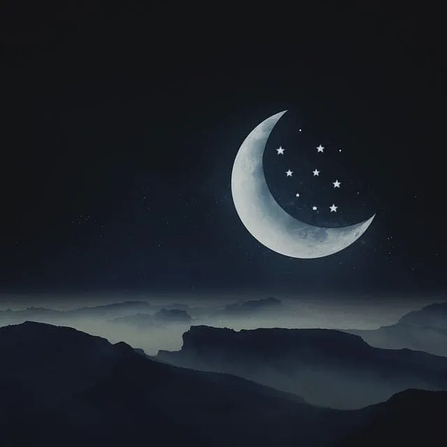 무료 꿈 해몽 풀이 사진