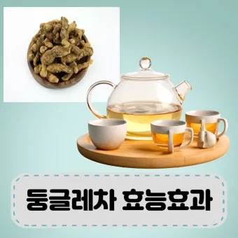 둥글레차 효과 건강에 좋은 차 효능 정리_4
