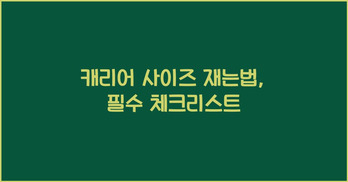 캐리어 사이즈 재는법