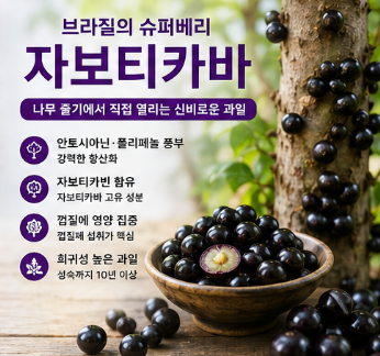 자보티카바-효능-후기-부작용-가격-분말-알약