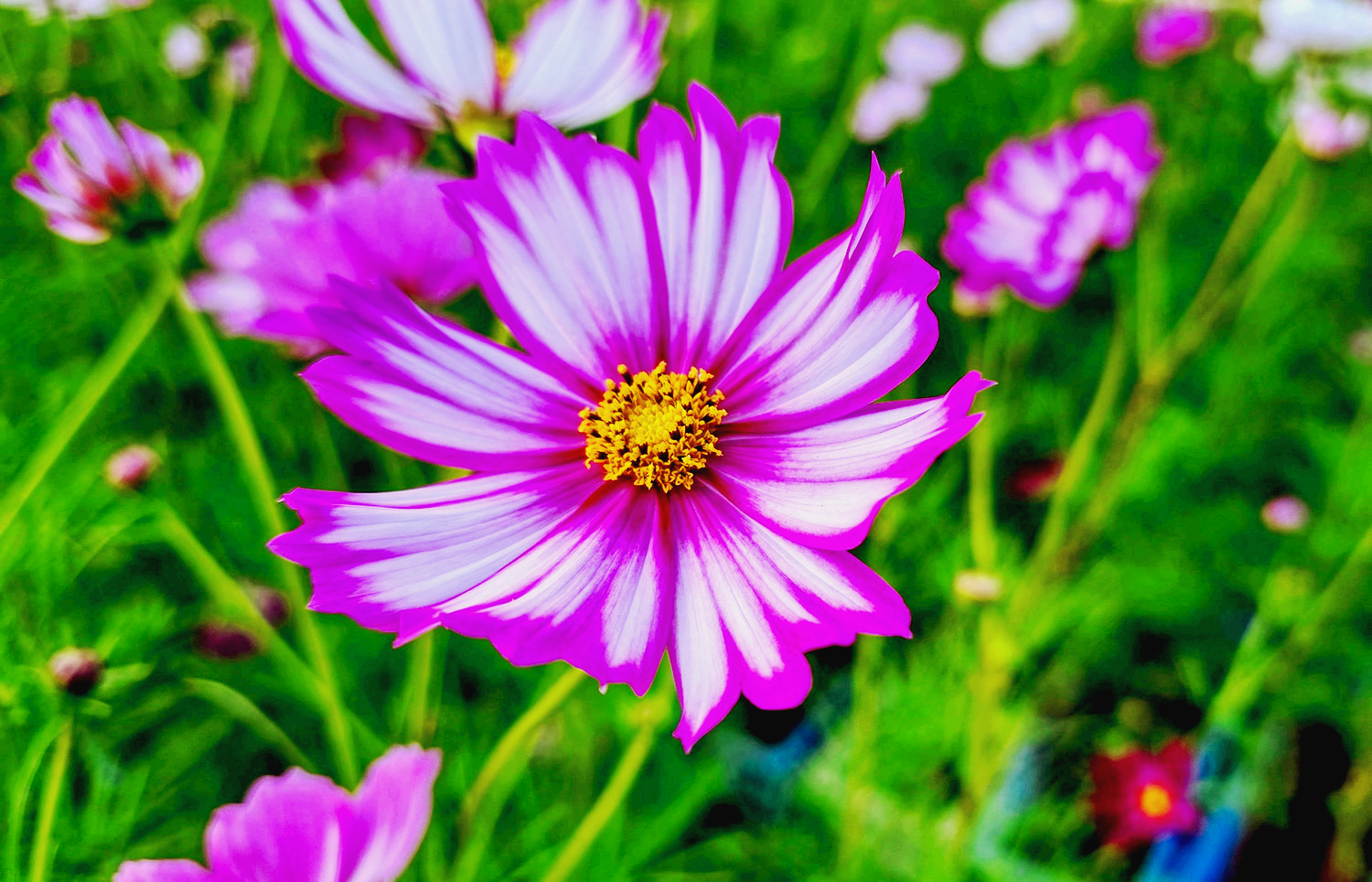 구리 한강공원- 18