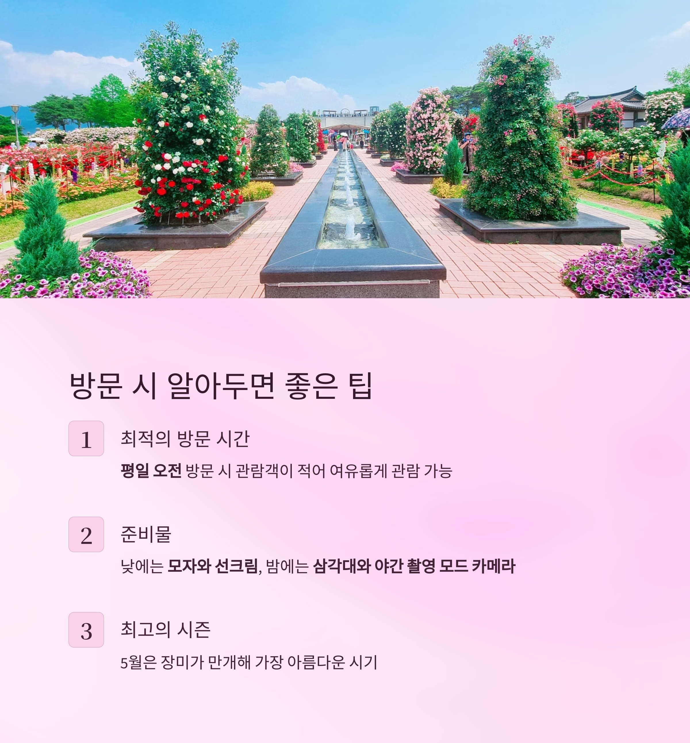 방문 시 알아두면 좋은 팁