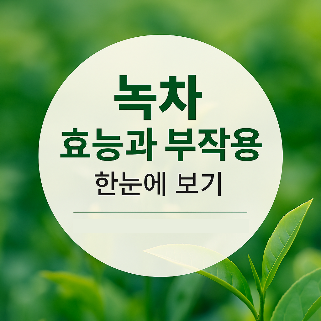 녹차 효능과 부작용 총정리
