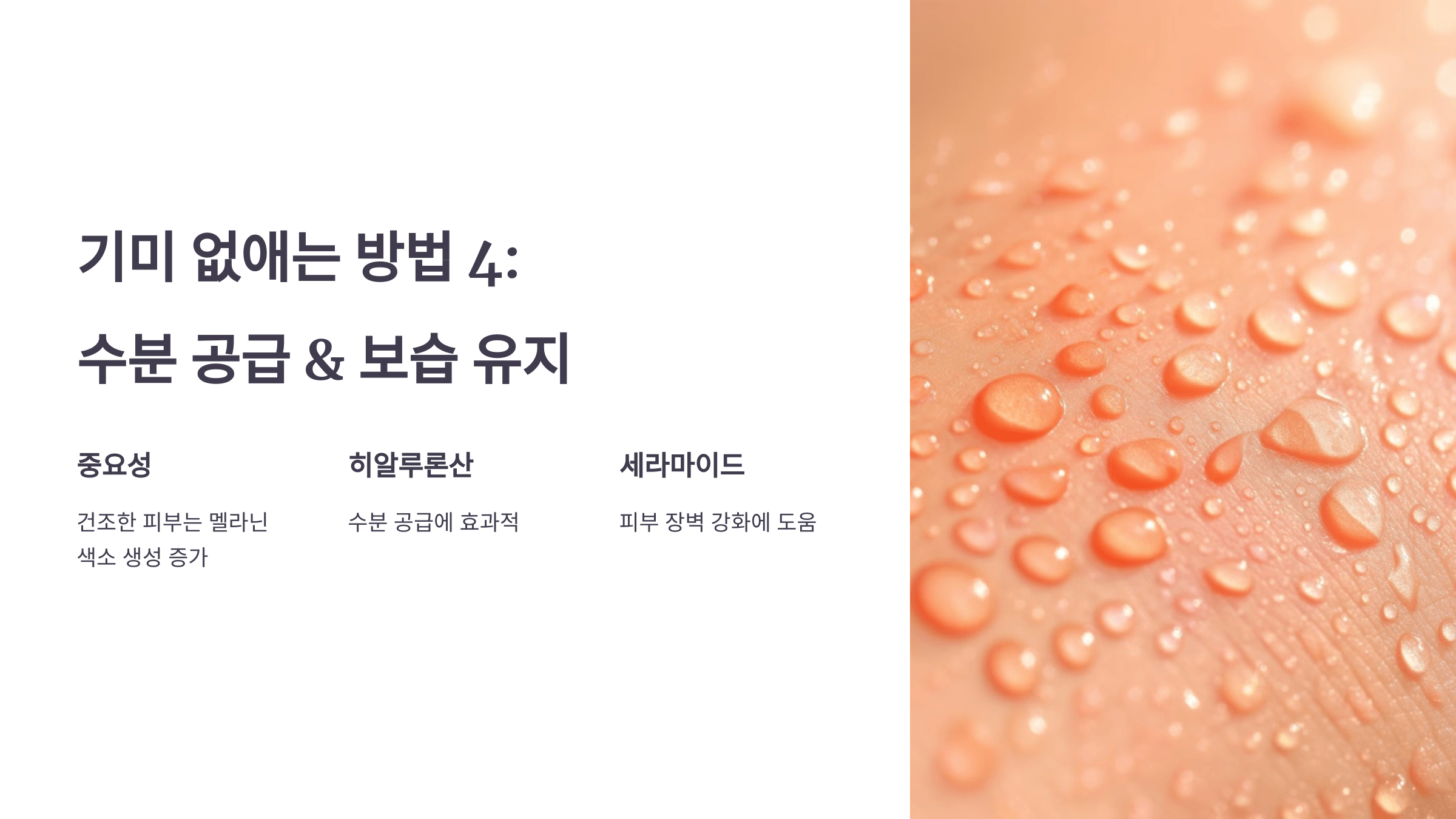 기미와 관련된 사진입니다.
