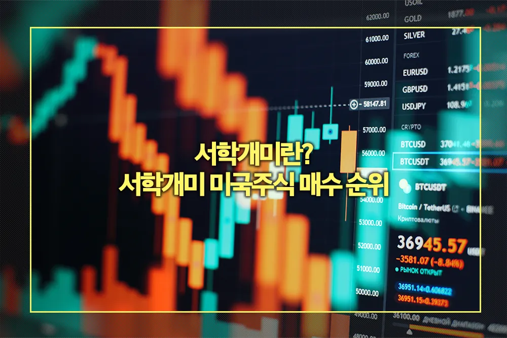 서학개미 뜻 서학개미 미국주식 매수 순위