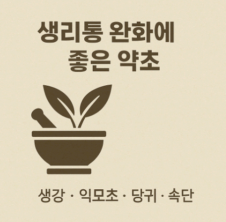 생리통 완화에 좋은 약초 추천
