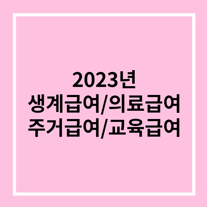 2023년 생계급여