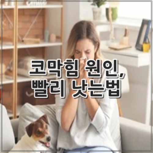 코막힘 원인, 빨리 낫는법