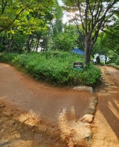 매봉산 치유 숲길