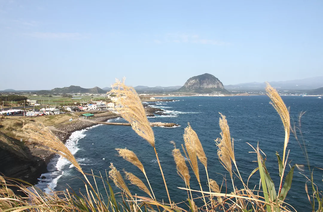 제주 올레길 10코스 올레길 전코스 완주자가 추천하는 제주 올레길 최고의 코스 가이드