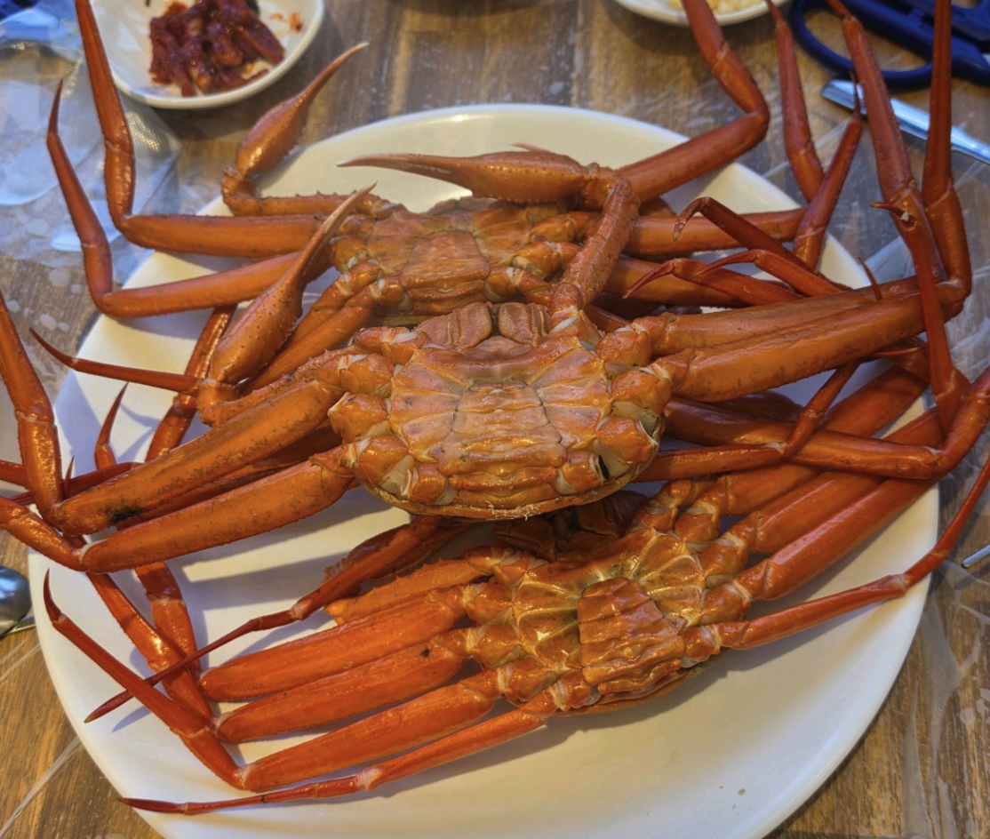 6시 내고향 강원 속초 홍게 무한리필 창백호선장네