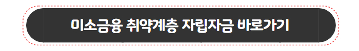정부지원대출 미소금융 취약계층 자립자금