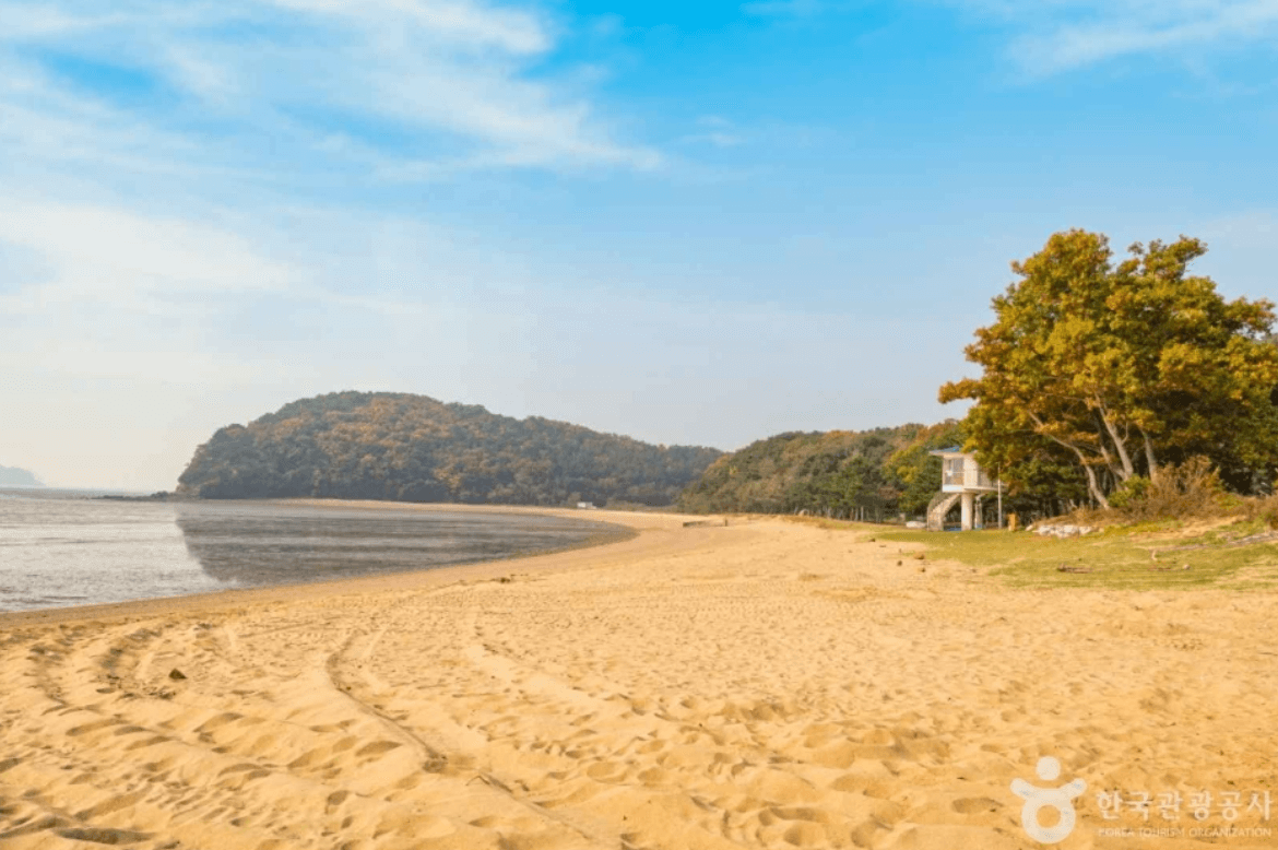 한들해수욕장 (옹진군)