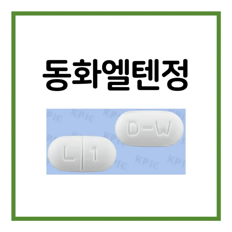 동화엘텐정-이미지