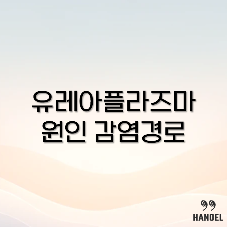 유레아플라즈마