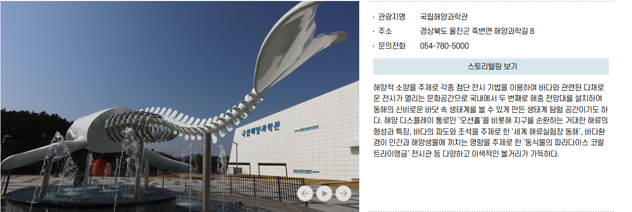 죽변 해안 스카이레일 예약 방법