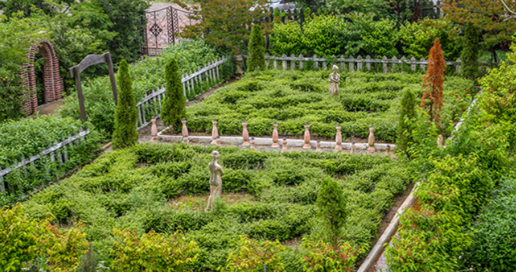 팜카밀레 허브농원