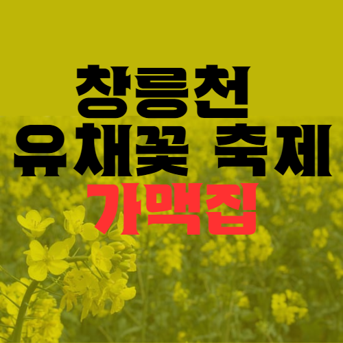 창릉천 유채꽃 축제 맛집