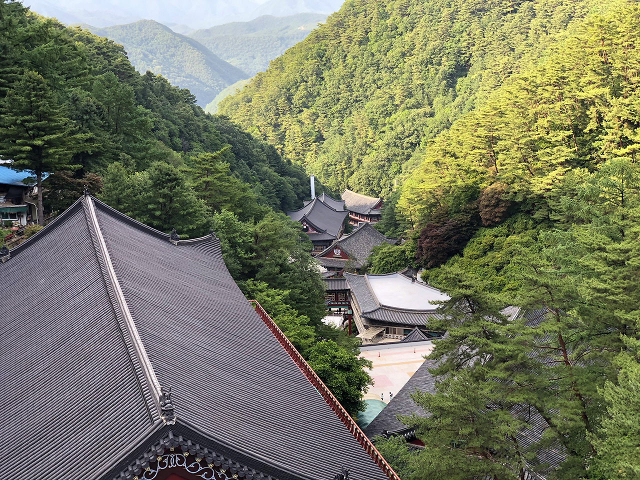 구인사 전경