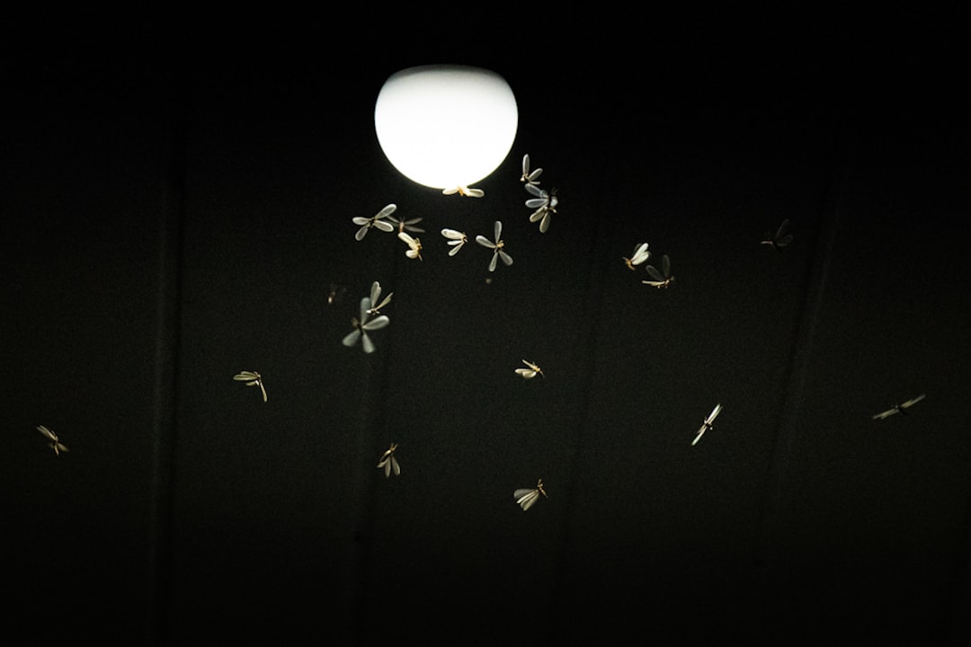 Mosquitoes