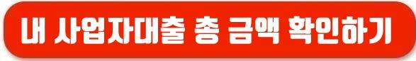 사업자대출 총액 알아보기
