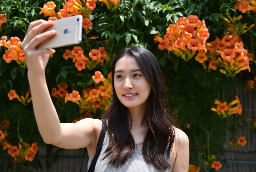 여름꽃 능소화축제 제주 비체올린 포토 명소 (개화시기, 꽃말, 일정 총정리)