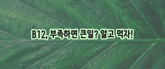 비타민 B12 중요성과 효능 그리고 부작용까지 알아야 합니다!