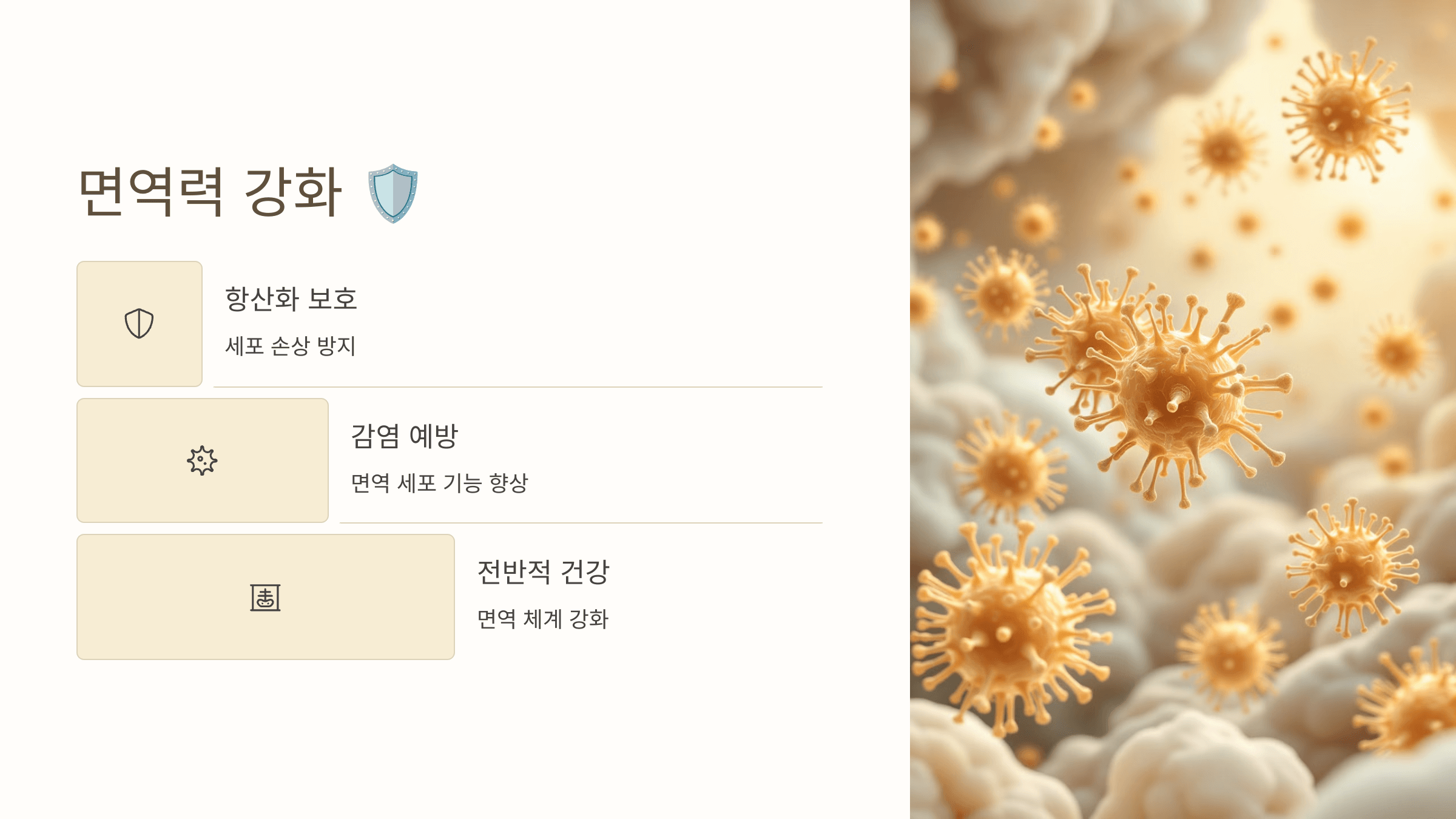 아몬드 사진입니다.