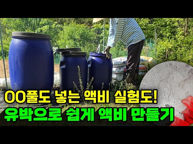 액비 희석비율 주기맞추기 잎색개선 안전한 급수 방법_9