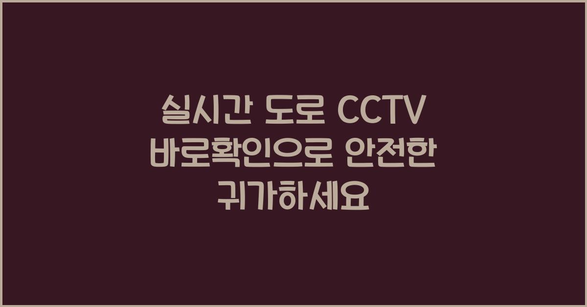 실시간 도로 cctv 바로확인