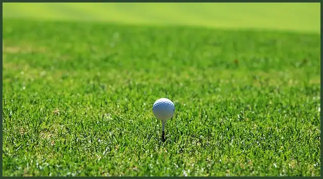 파크골프 공 4피스&amp;#44; 3피스&amp;#44; 2피스 차이점은?