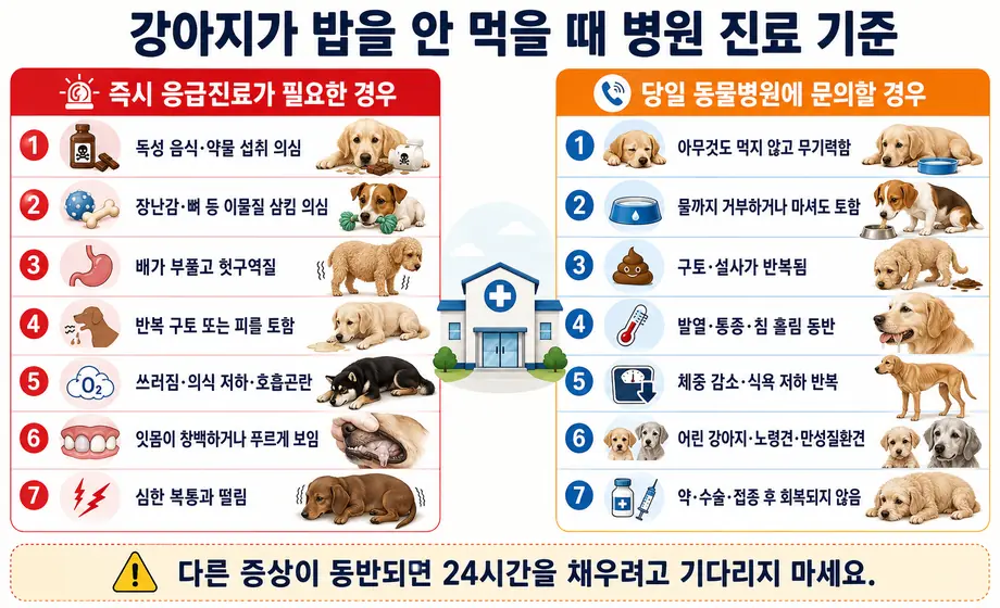 강아지가 밥을 안 먹을 때 독성물질 섭취&middot;이물질 삼킴&middot;호흡곤란 등 즉시 응급진료 신호와 무기력&middot;물 거부&middot;반복 구토&middot;설사 등 당일 동물병원 문의 기준 비교 이미지