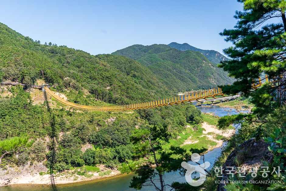 월영산 출렁다리