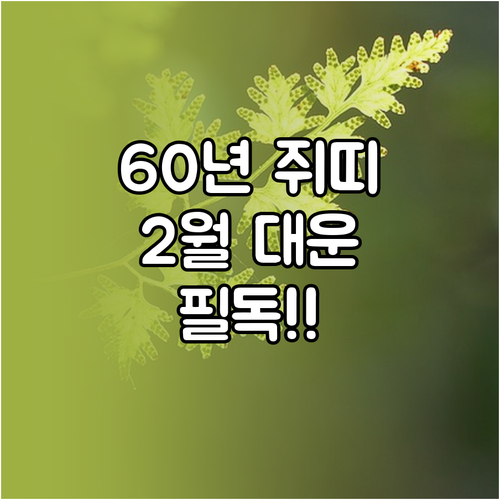 60년생 쥐띠 2월 운세 전망 지출 ..
