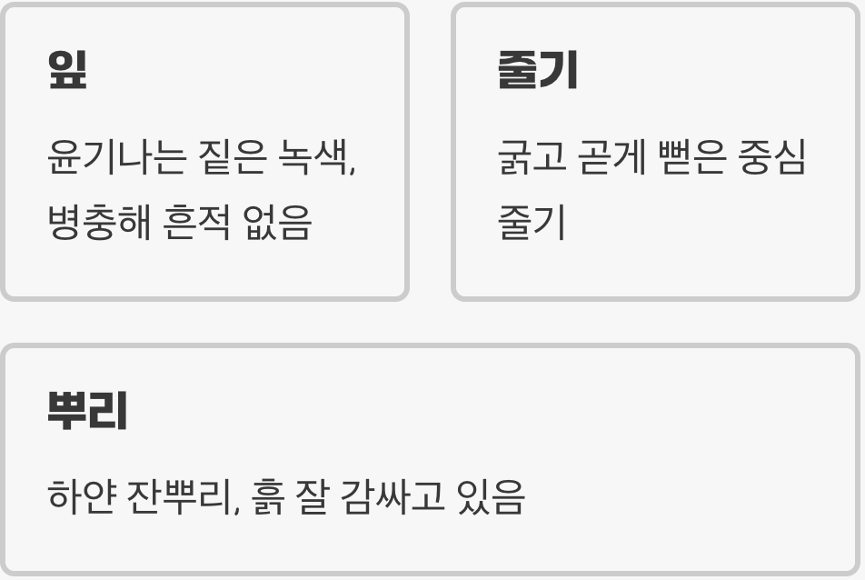 좋은 묘목, 어떻게 알아볼까요?