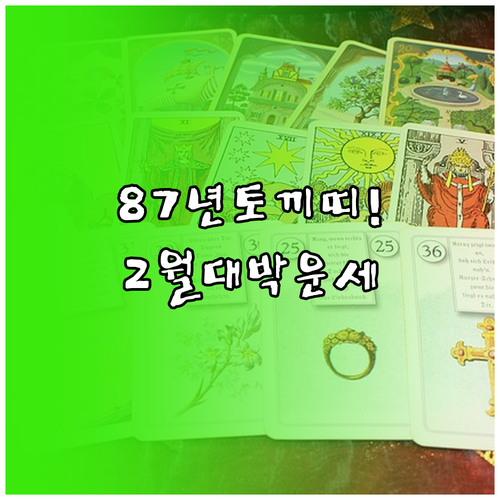 87년생 토끼띠 2월 행운의 색상 숫..